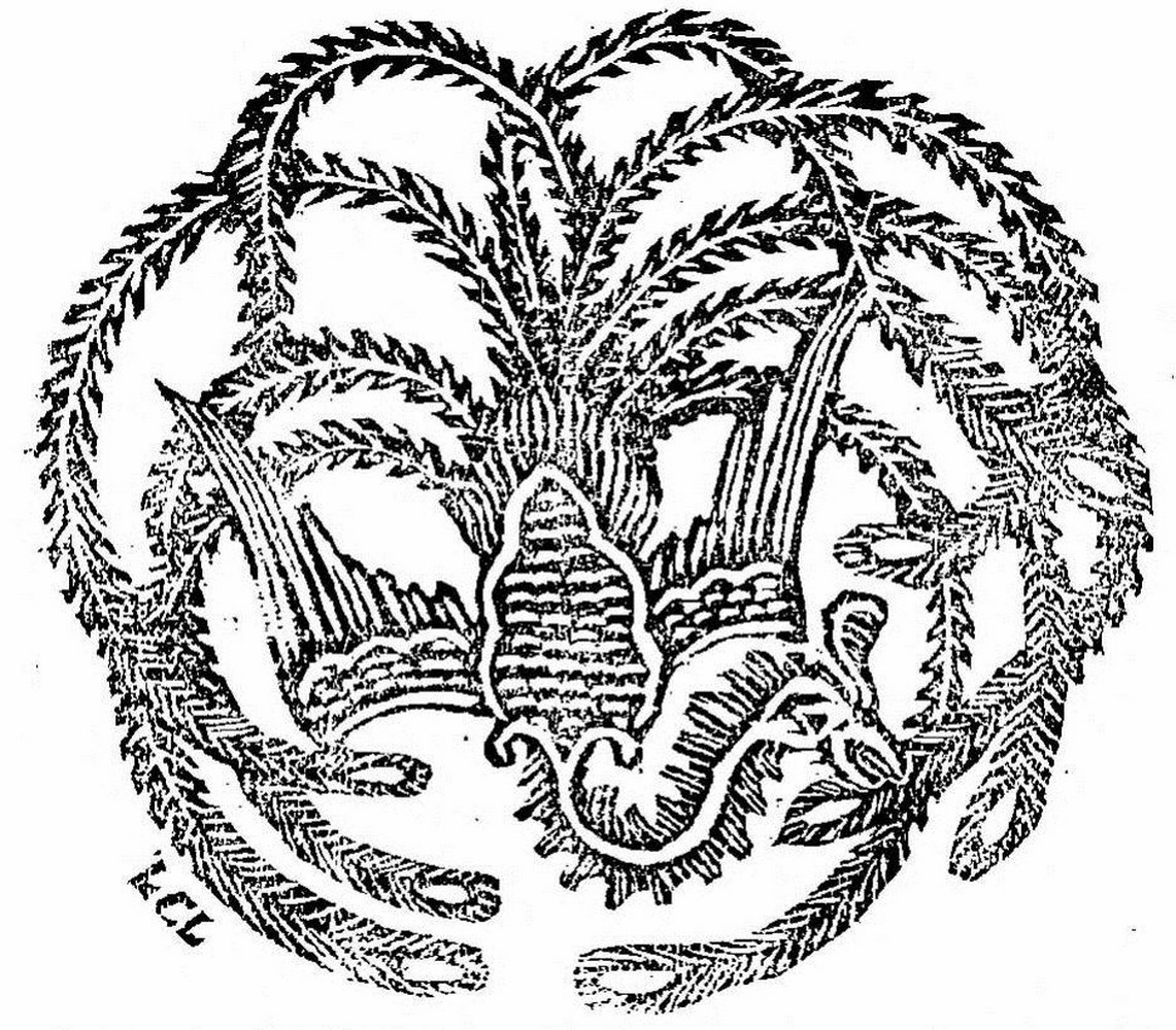 Fig.1 - Le Phénix de bon augure chez les Chinois