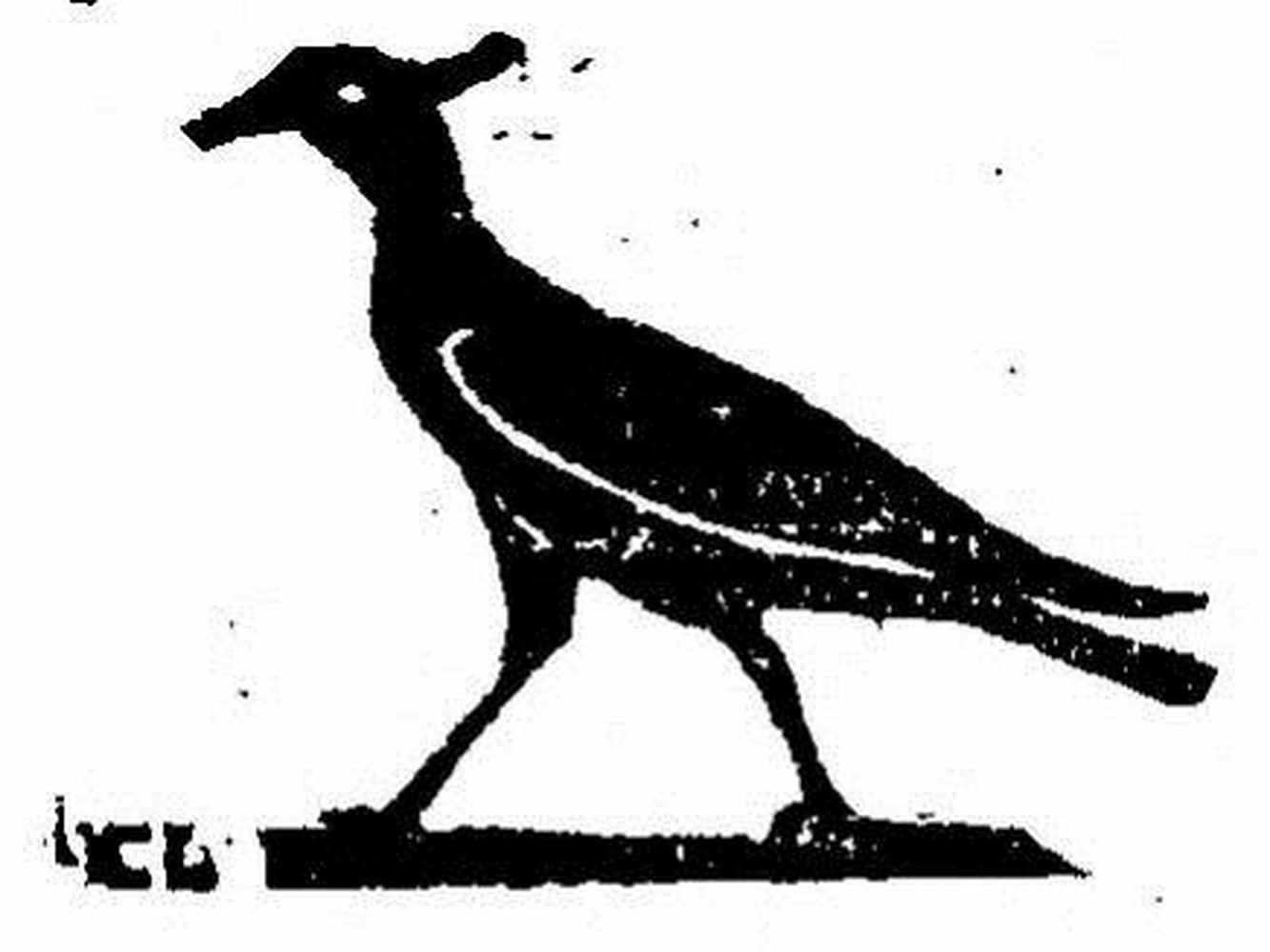 Fig.3 - Le Phénix sur un obélisque de basalte au Caire. (Davin op. cit. pl. X, n°9)