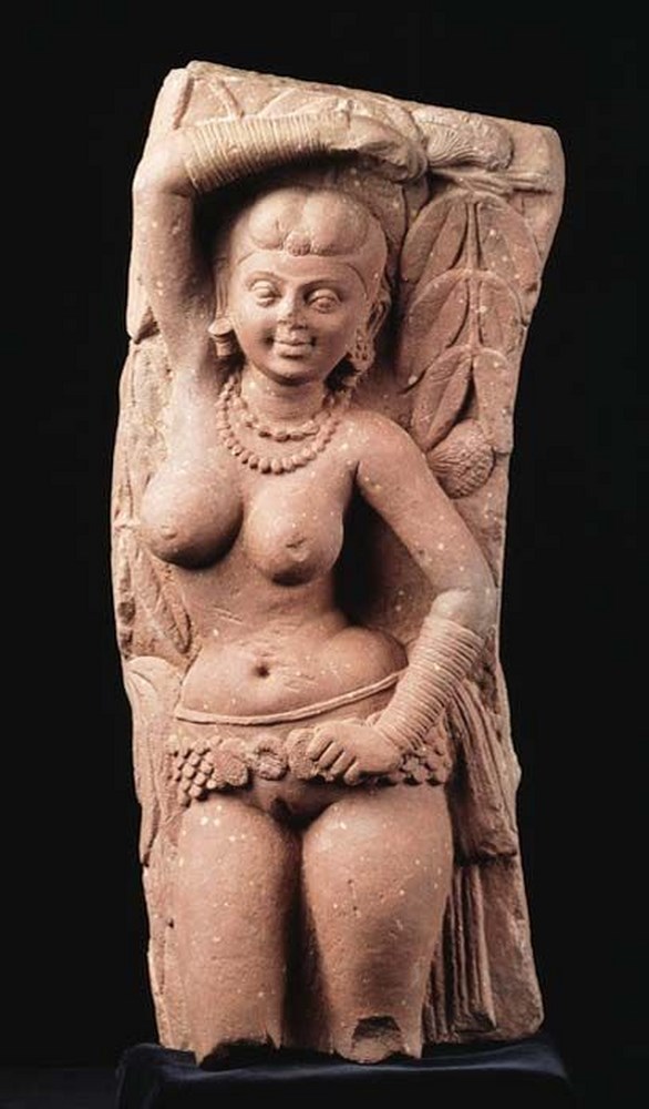 Yakṣiṇī